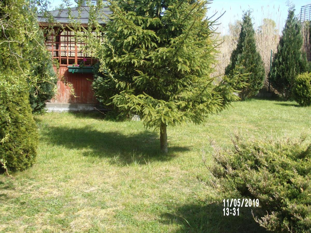גרצי'יבובו Villa Iwona מראה חיצוני תמונה